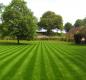 roos_lawn